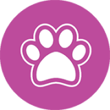 meandmydog_logo
